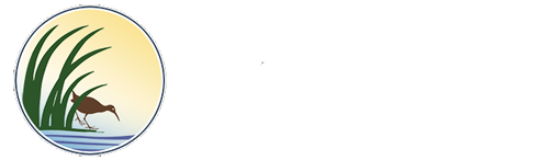 Tijuana River Project